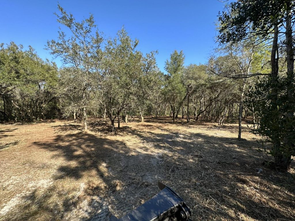 professional land clearing & forestry mulching polk county fl being done