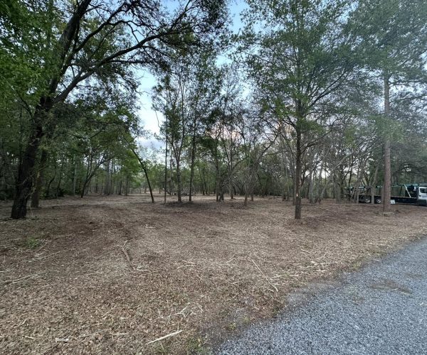 forestry mulching being done on a property